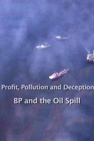 Profit, Pollution and Deception - BP and the Oil Spill (2013)