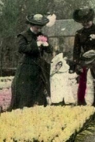 Poster Flower Fields of Haarlem 1909