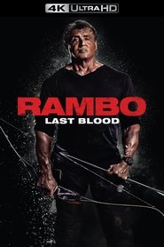 Rambo: Last Blood poster