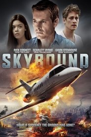 Skybound (2017) Dual Audio 720p BluRay