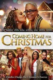 Coming Home for Christmas (2021) Unofficial Hindi Dubbed