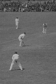 Poster Cricket at Birmingham