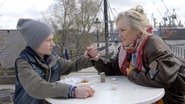 Das Spinnennetz