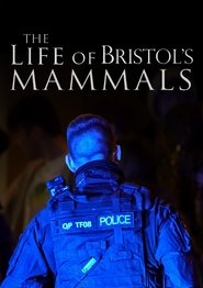 The Life of Bristol's Mammals (2024)