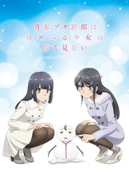 SEISHUN BUTA YAROU WA YUMEMIRU SHOUJO NO YUME WO MINAI - BiliBili