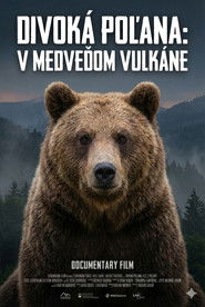 Divoká Poľana: V medveďom vulkáne