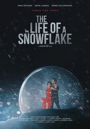 Poster for The Life of a Snowflake