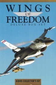 Poster Wings of Freedom 2008