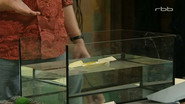 Episode 23