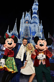 Disney Parks Magical Christmas Celebration
