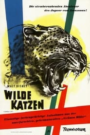 Poster Wilde Katzen