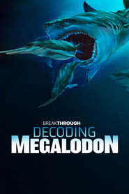 Decoding Megalodon poster