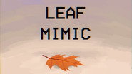 Leaf Mimic Care Guide