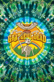 Grateful Dead: Sunshine Daydream (2013)
