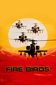 Poster Fire Birds 1990