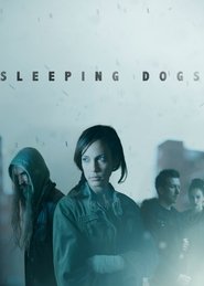 Poster Sleeping Dogs