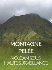 Montagne Pelée, volcan sous haute surveillance