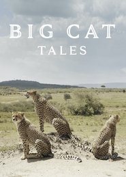 Big Cat Tales: Season 1