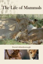 The Life of Mammals