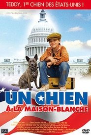 Film Un chien à la Maison Blanche en streaming