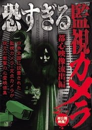 恐すぎる監視カメラ～都心映像流出編～