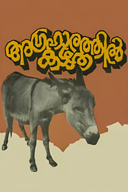 Poster அக்ரஹாரத்தில் கழுதை
