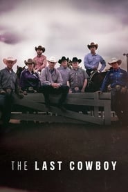 The Last Cowboy Episode Rating Graph poster