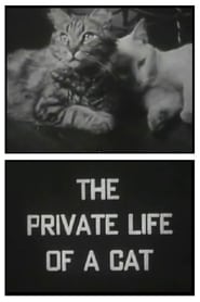 The Private Life of a Cat (1946)