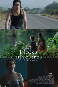 Poster Flores silvestres