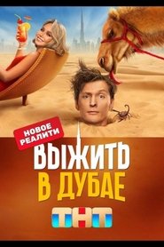 Выжить в Дубае poster