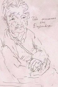 Poster Três Semanas em Dezembro 2013