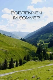 Bobrennen im Sommer