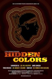 Poster Hidden Colors 2011