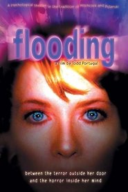 Poster Flooding 2000