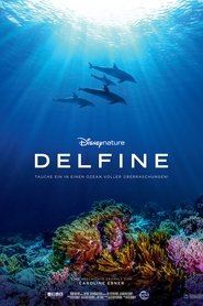 Poster Delfine