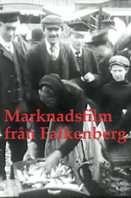 Marknadsfilm från Falkenberg