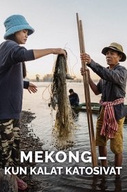 Poster Mekong - kun kalat katosivat