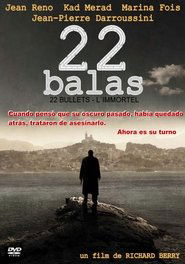 22 balas poster