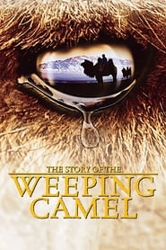 The Story of the Weeping Camel постер