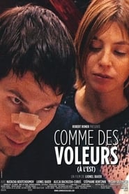 Voir Comme des Voleurs en streaming vf gratuit sur streamizseries.net site special Films streaming