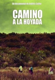 Poster Camino a la Hoyada 2014