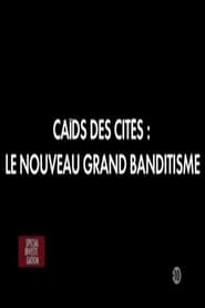 Caïds des cités: Le nouveau grand banditisme