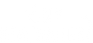 Why Dinosaurs? Logo
