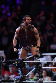 A Johnny Gargano Documentary: Volume 1 (2014)