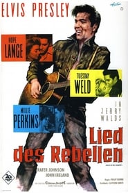 Poster Das Lied des Rebellen