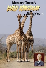 Season 9
