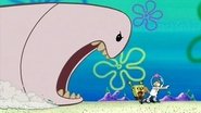 SpongeBob SquarePants - Episode 2x34