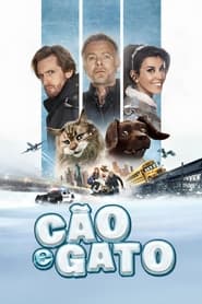 Assistir Cão e Gato Online HD