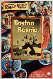 Poster Boston Beanie