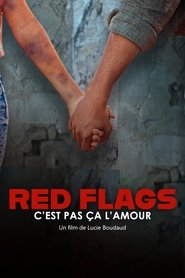Red Flags – c’est pas ça l’amour (2025)
